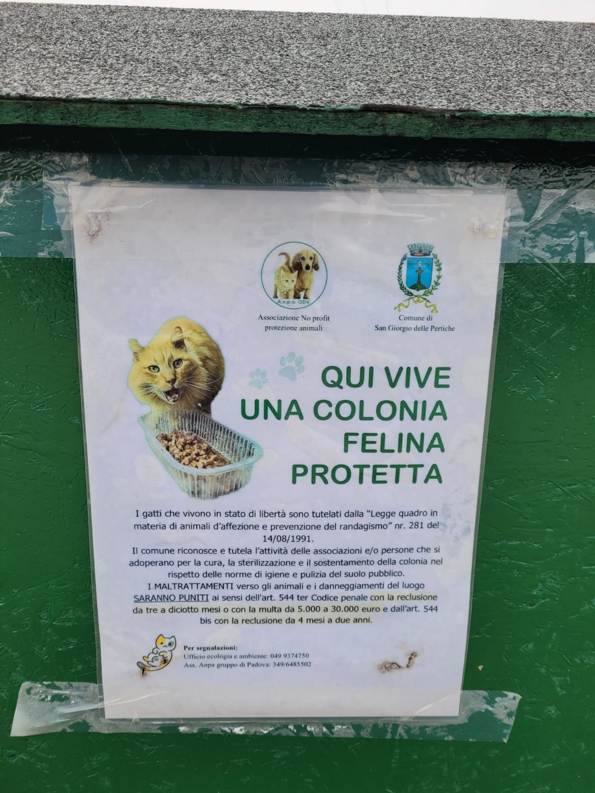 Immagine WhatsApp 2025-01-29 ore 19.26.58_ef2f6613