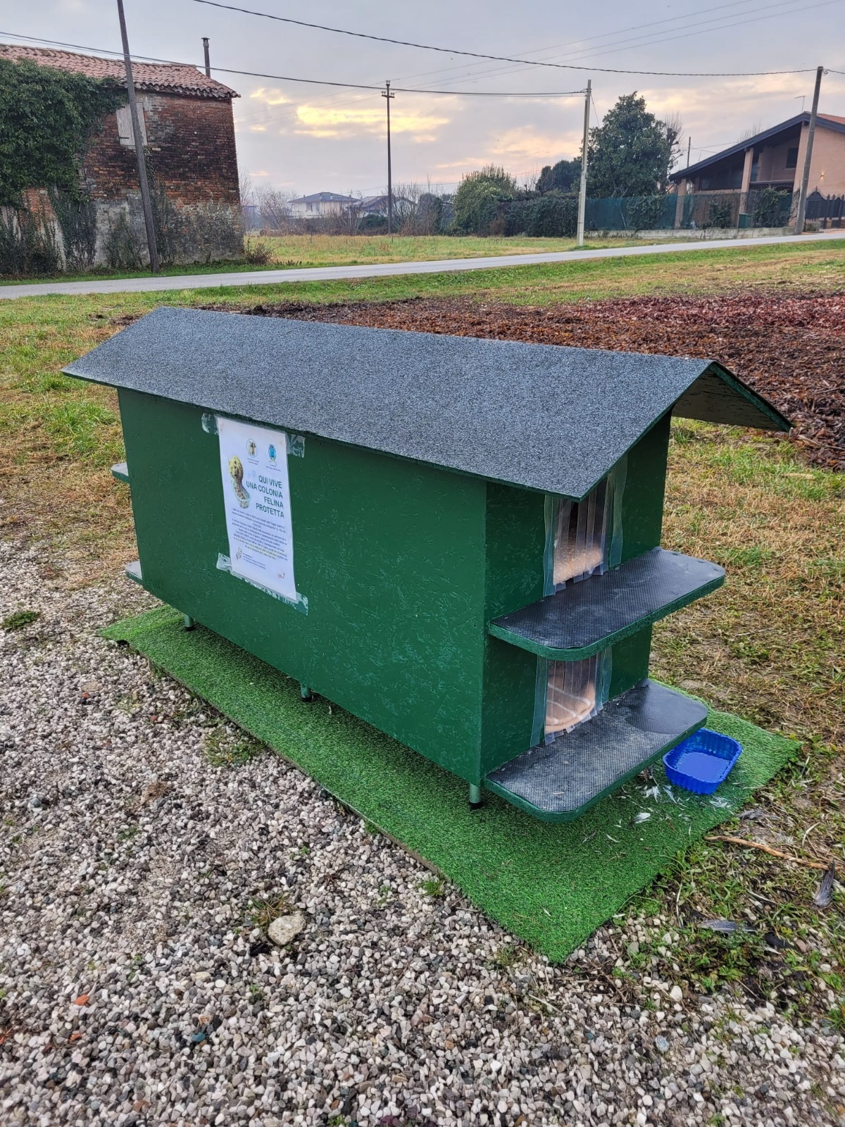 Immagine WhatsApp 2025-01-29 ore 19.27.05_33ab52d3