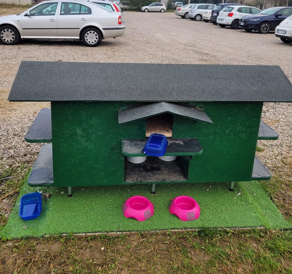 Immagine WhatsApp 2025-01-29 ore 19.27.14_4397f169