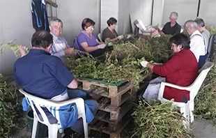 I Volontari I Volontari