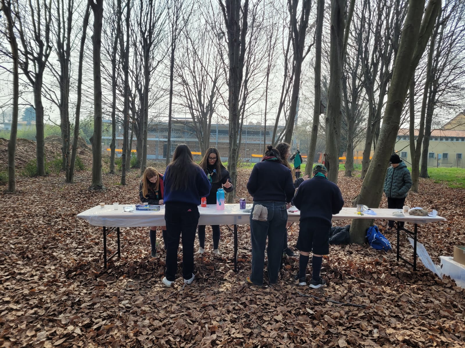 Immagine WhatsApp 2025-02-23 ore 13.36.15_b7487856