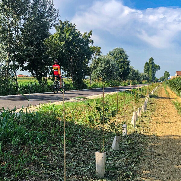 Immagine WhatsApp 2025-08-02 ore 20.56.10_6de35f5a