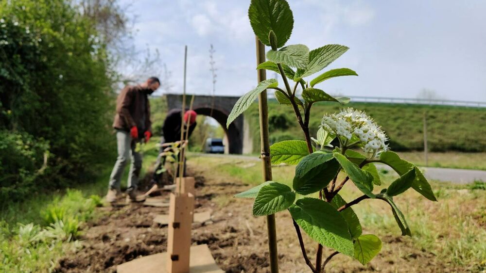 Immagine WhatsApp 2025-08-02 ore 20.56.14_4b8e7771